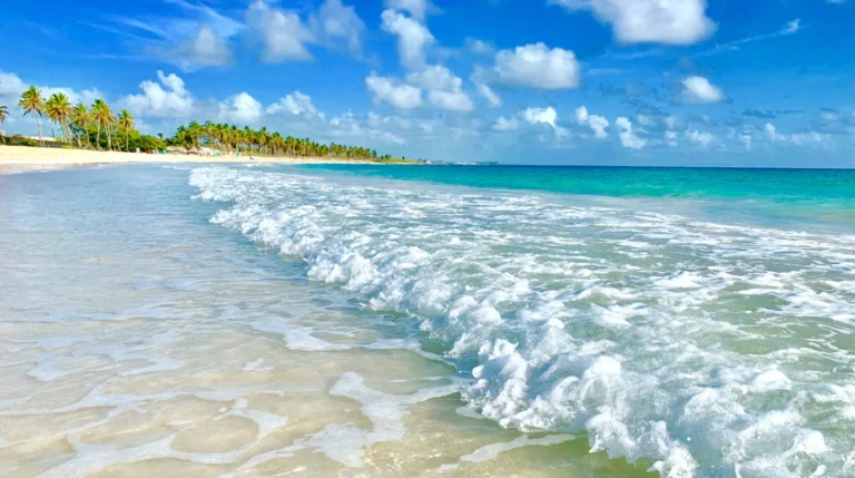 When Is the Best Time to Visit Punta Cana? Ultimate Guide
