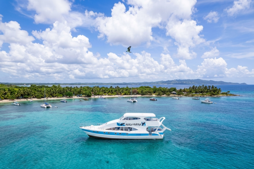 The Celebration at Sea – Your Whole Crew, One Private Catamaran, One Legendary Day