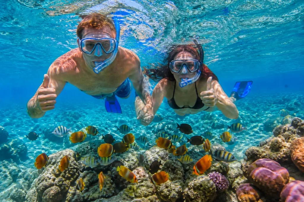 Snorkeling in Playa del Carmen with clear water coral reefs and fish showing one of the best things to do in Playa del Carmen