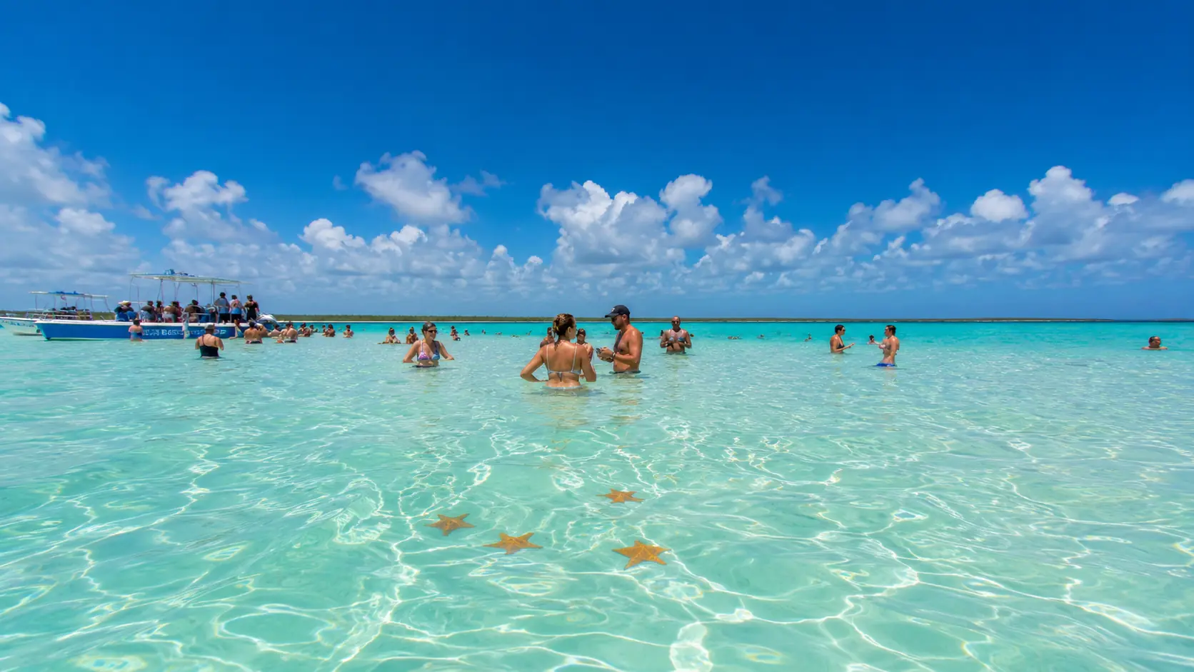 Tourists wading in the shallow turquoise water of Isla Saona Piscina Natural with starfish visible on the sandbar.