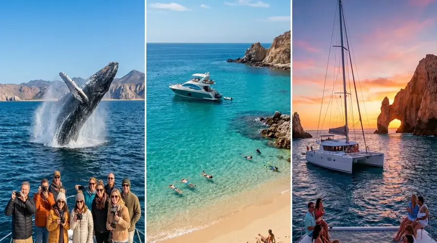 Top Sea of Cortez Activities for Your 2026 Itinerary - 7 to 9