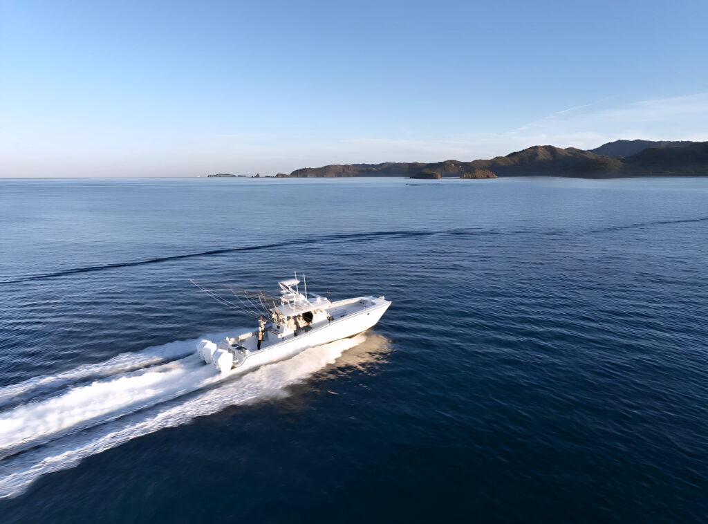 47 ft Freeman Offshore Fishing Charter Flamingo