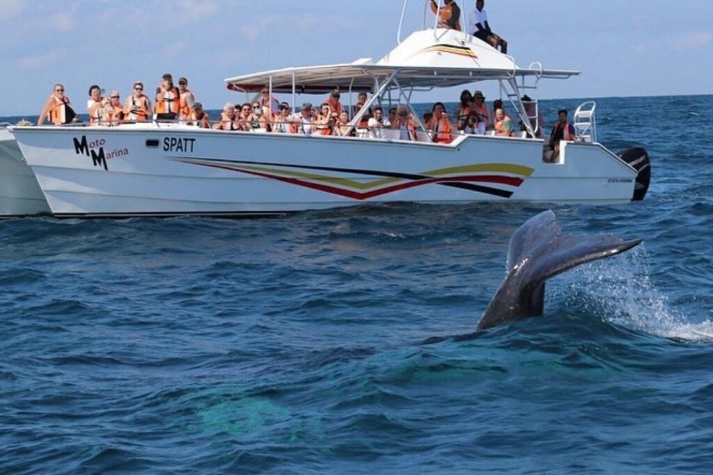 Samaná Shore Excursion – Los Haitises + Bacardi Island for Cruise Passengers