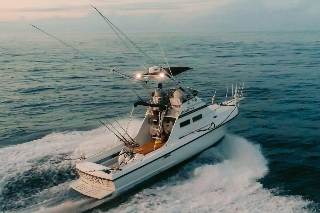 Private Sportfishing Charter Cabo San Lucas — 28ft