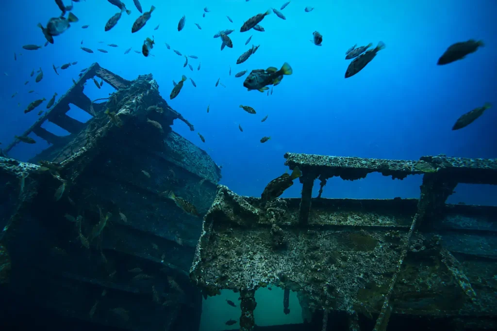 Antilla Shipwreck Aruba: Snorkeling Guide & Tours