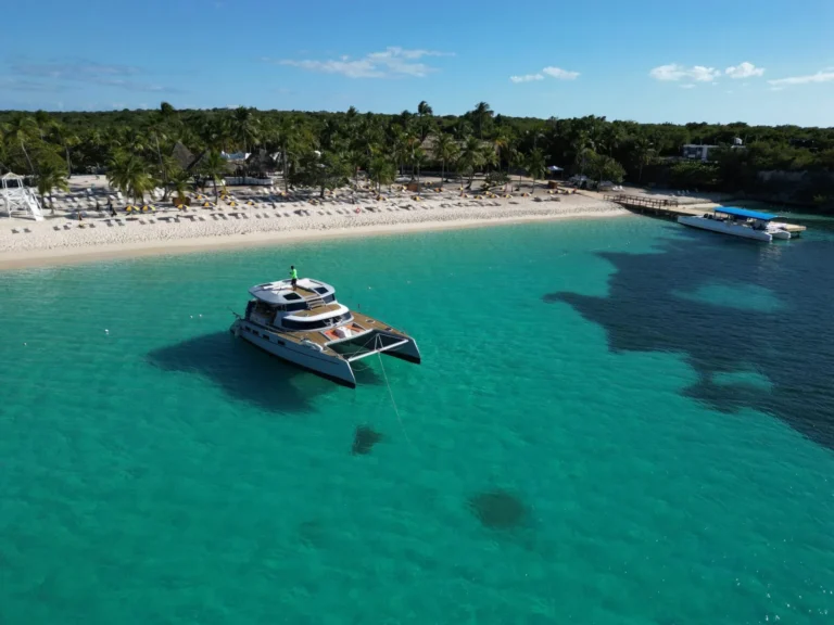Luxury catamaran anchored in turquoise water off Saona Island with a tropical beach in the background.