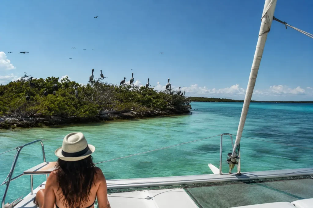 Watch wildlife at Bird Island from a catamaran as seabirds rest on the mangroves above the crystal-clear waters of Bacalar Lagoon.