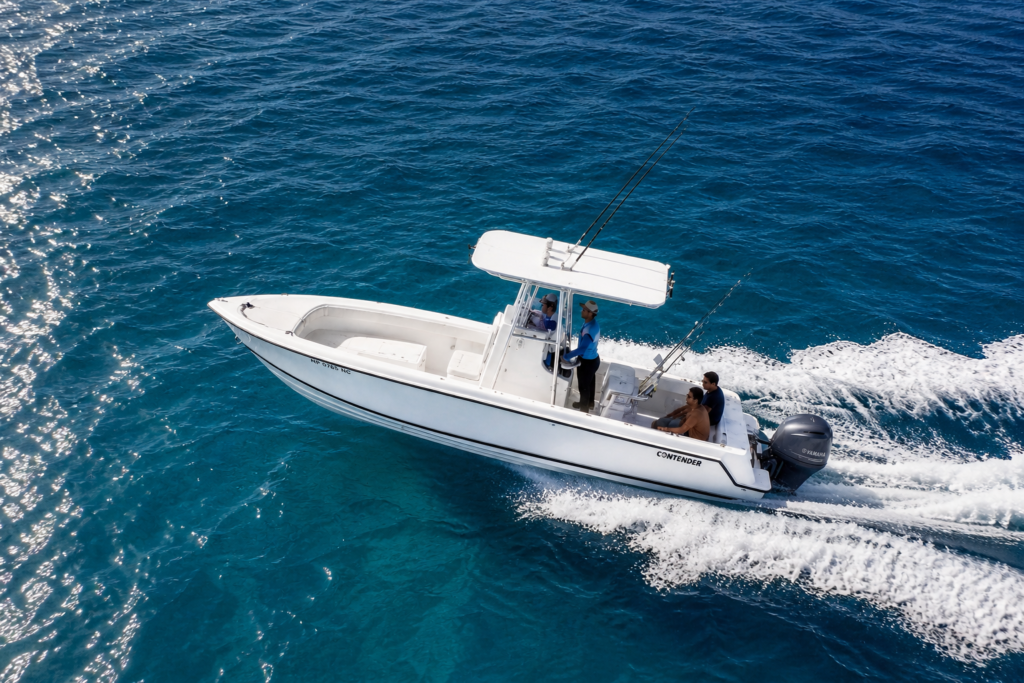Private Isla Saona & Palmilla Experience