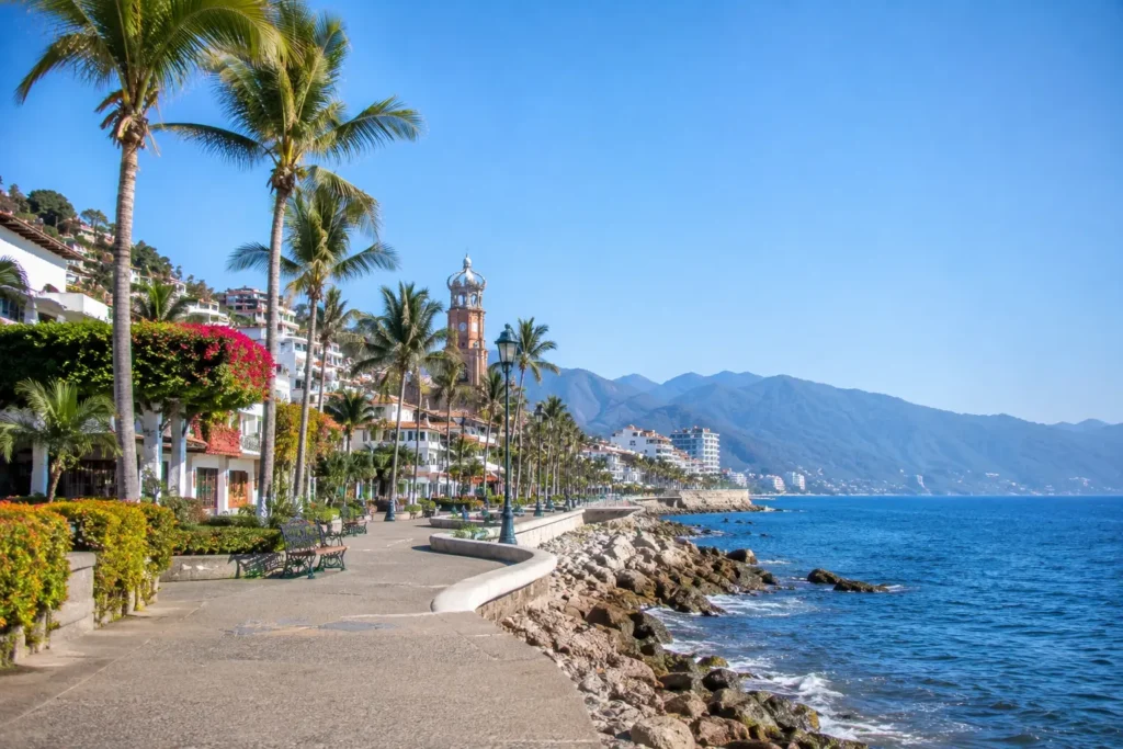 Sunny Coastal Promenade with Palm Trees