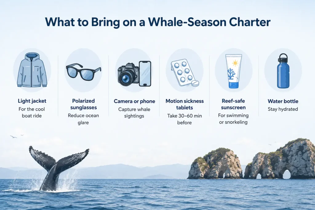 Whale Charter Essentials