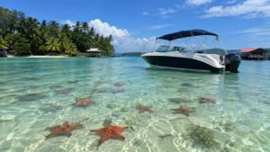Starfish Lagoon and Tropical Motorboat 
