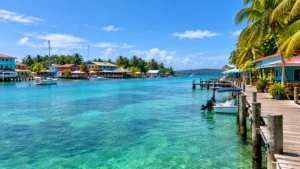 Tropical Waterfront Village and Docks 